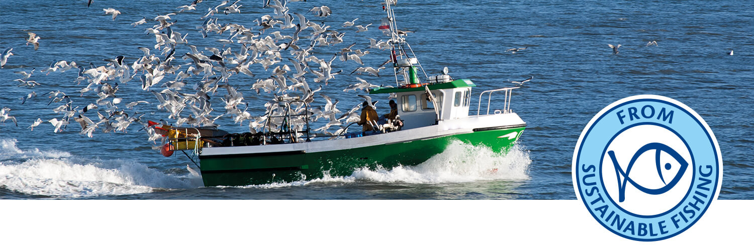 A boat sails on the water, surrounded by birds, with a logo reading "FROM SUSTAINABLE FISHING" in the foreground.