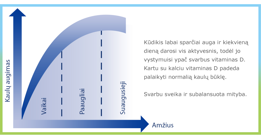 Schema su keturiais skyriais, pažymėtais "Vaikai", "Paugliai", "Suaugusiej" ir "Amzius", o dešinėje pusėje - tekstinis aprašymas.