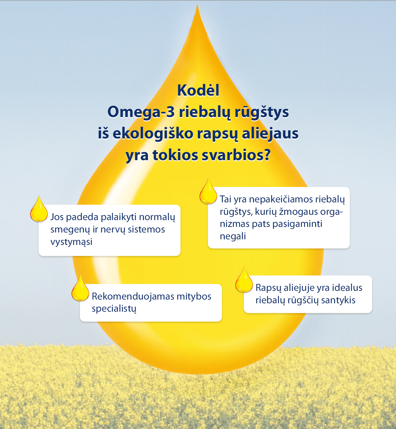 Produkto "Kodél Omega-3 riebalų rugštys" - ekologiško rapsų aliejaus - reklaminis plakatas. Jame išvardyti tokie privalumai kaip smegenų ir nervų sistemos sveikatos palaikymas, rekomenduojamas specialistų ir idealiai tinka sergantiems tam tikromis ligomis.