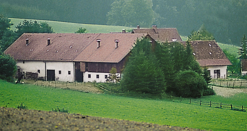 Kaimo vaizdas su baltu pastatu, rudais stogais ir žaliais laukais.